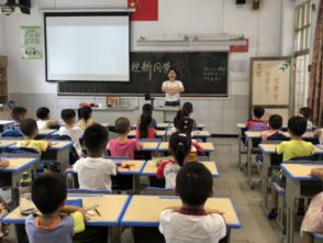 快樂校園 啟蒙引航——龍津小學(xué)開展一年級新生學(xué)前培訓(xùn)活動